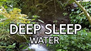 Calming River Water Birds Chirping and Vibrant Greenery for Rest and Productivity [upl. by Aikit]