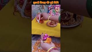 तुलसी विवाह flute music tulsivivah trending tulsi vairalvideo festival diy top pujavidhi [upl. by Downe]