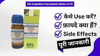 SBL Gnaphalium Polycephalum Dilution 12 CH Uses in Hindi  Side Effects  Review [upl. by Allecsirp]