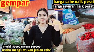 harga cabe hari inisayurannaik semuausaha untung banyak jualan cabe27 nov 2024 [upl. by Ylahtan]