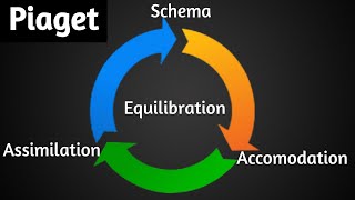 Piaget  Assimilation Accomodation Equilibration Schema  Green Star [upl. by Leilamag]