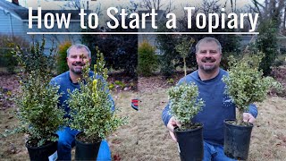 How to Start a Topiary🌲 [upl. by Joo450]