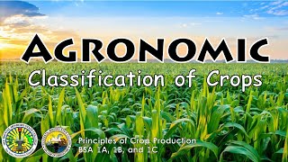 Agronomic Classification of Crops  Lecture Discussion for BSA 1 [upl. by Willow]