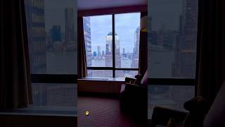 View from Millennium Hotel Downtown New York 😍 newyorkshorts hotels travelnewyork travelling [upl. by Yhtomit]