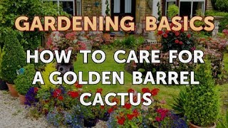 How to Care for a Golden Barrel Cactus [upl. by Lati]