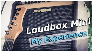 The Fishman Loudbox Mini pt2 Should you buy it [upl. by Davena248]