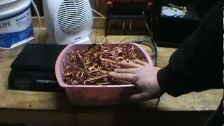 How to strip copper wire a scrappers must have tool [upl. by Llamaj718]