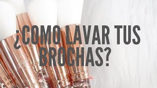 ¿Como se lavan las brochas  LyloFa [upl. by Meredith946]