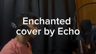 Enchanted cover by Echo [upl. by Zelazny750]