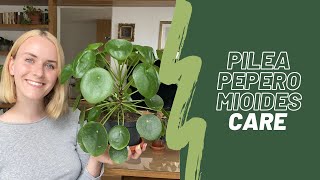 Pilea Peperomioides care 🌱  Watering propagation common problems [upl. by Zakaria]