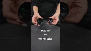 What’s the difference between a Macro Lens and a Telephoto Lens🤔 shorts macrophotography iphone [upl. by Preston]