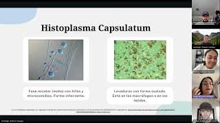 Histoplasmosis Medicina Tropical 20242 [upl. by Enymsaj]