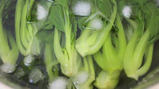 Bok choy recipe  How to cook bok choy with oyster sauce [upl. by Ellenhoj]