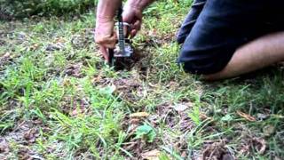 How to set a Sweeney mole trap the right way [upl. by Allcot]