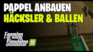 LS25 Pappel Anbauen und Ernten  Feldhäcksler oder Ballenpresse [upl. by Erlandson545]