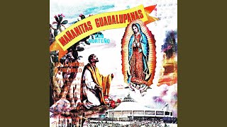 Canción guadalupana [upl. by Shara]