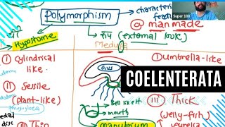 PHYLUM COELENTERATA [upl. by Grote]