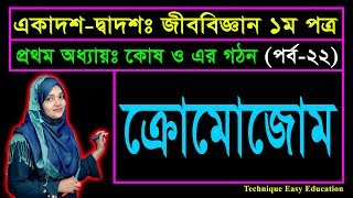 ক্রোমোজোম  পর্ব২২  কোষ ও এর গঠন  এইচএসসি জীববিজ্ঞান ১ম পত্র  HSC Biology 1st Paper Chapter 1 [upl. by Chlori]