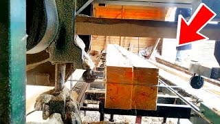 💪🌲 quotSawmill Live Whats the True Cost of Hard Workquot 🌲💪 [upl. by Ahsii]