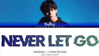 우성 WOOSUNG Never Let Go Lyrics Color Coded Lyrics [upl. by Giwdul]