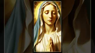 Virgin Mary Our Divine Protector and Guide VirginMary DivineProtection Faith CatholicPrayer [upl. by Attenej]