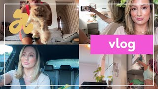 Vlog Rotina exercícios cabelo novo gatinhos  ADRI SCHIESSL [upl. by Arakal377]