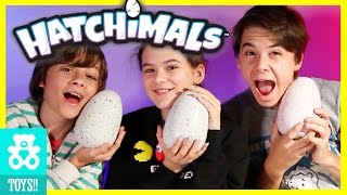 NEW HATCHIMALS MAGICAL SURPRISE EGG OPENING CHALLENGE Kids Toy Review  KITTIESMAMA [upl. by Esele]