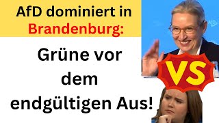 AfD triumphiert in Brandenburg Grüne stürzen ab und zittern um den Landtagseinzug [upl. by Colas]