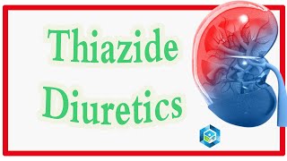 علم الأدوية  Thiazide diuretic and thiazide like diuretics ادوية [upl. by Ennoval]