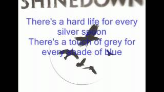 Shinedown  What A Shame lyrics [upl. by Everett]