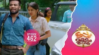 Uppum Mulakum 2  Flowers  EP 462 [upl. by Eisnyl]