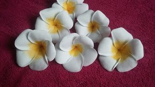 Learn How To Make Foam Plumeria Flower [upl. by Aititil]