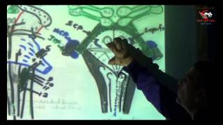 Dr Ahmed Elzainy 4th ventricle Neuroanatomy الدكتور احمد الزيني [upl. by Nygem273]