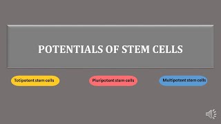 stem cells  totipotent pluripotent multipotent stem cells  scitechtrends [upl. by Alexio]