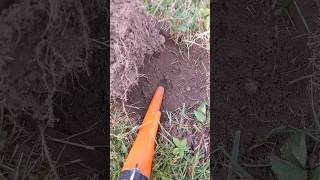 MINELAB EQUINOX 600 ROCKIN viral youtube treasurefam shorts [upl. by Nallek687]