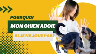 Mon chien aboie quand je ne joue pas avec lui  que faire  🐾🤷‍♀️🐶 [upl. by Eolhc464]