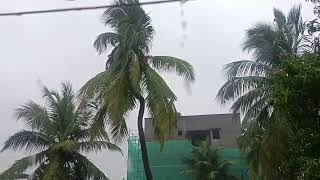 இடி மின்னலுடன் கூடிய கன மழை rain tnrain tnrainnews schoolleave heavyrain tnweatherreport [upl. by Airalav]