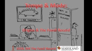 Lecture 7 Tempoamp Mode Originsamp the Fossil Record [upl. by Edgell]