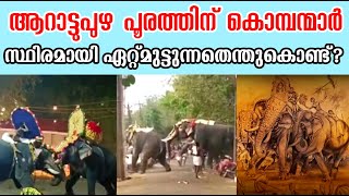 ആറാട്ടുപുഴയിൽ കൊമ്പന്മാർ സ്ഥിരമായി ഏറ്റുമുട്ടുന്നത് എന്ത്കൊണ്ട്  Arattupuzha Pooram Elephant Attack [upl. by Kcirdef]