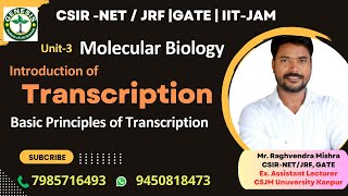 Introduction and Basic Principles of Transcription  Molecular Biology genesisinstitute [upl. by Otineb559]