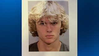 Florida teen facing charges for bringing machete to early voting location [upl. by Ahsiele91]