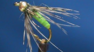 Beginner Fly Tying a Kens Beadhead Caddis Pupa with Jim Misiura [upl. by Lovmilla]