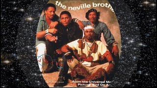 The Neville Brothers 1990 Bird On A Wire [upl. by Enom]