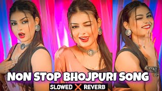 Non stop bhojpuri slowed reverb song  non stop bhojpuri songBhojpuri song mashup slowed and reverb [upl. by Thordis]