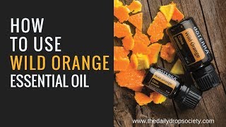 dōTERRA WILD ORANGE 🍊 How to use this energizing essential oil [upl. by Lenra69]