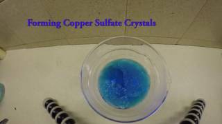 Copper Sulfate crystals timelapse [upl. by Hitt98]