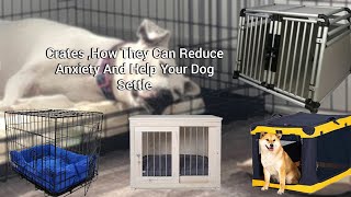 Reason Why Crate Training Is Good [upl. by Dodie]