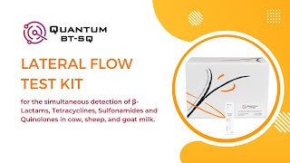 Quantum BTSQ  Rapid Test for the detection of βLactams Tetracyclines Sulfonamides amp Quinolones [upl. by Oriel]