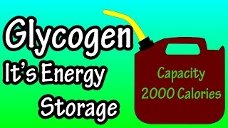 Glycogen  What Is Glycogen  Glycogen Storage In The Body [upl. by Kuo]