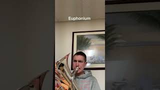 Baritone Horn vs Euphonium comparison [upl. by Aube]